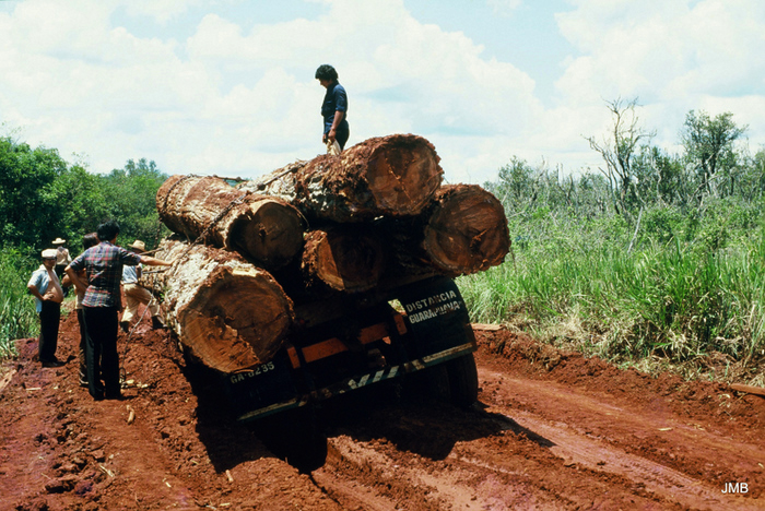 AÑO 1980 - COLOR - VIDA CAMPESINA EN PARAGUAY (JOSÉ MARÍA BLANCH)
